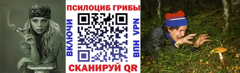 купить  цена  Дегтярск  Псилоцибиновые грибы мицелий 